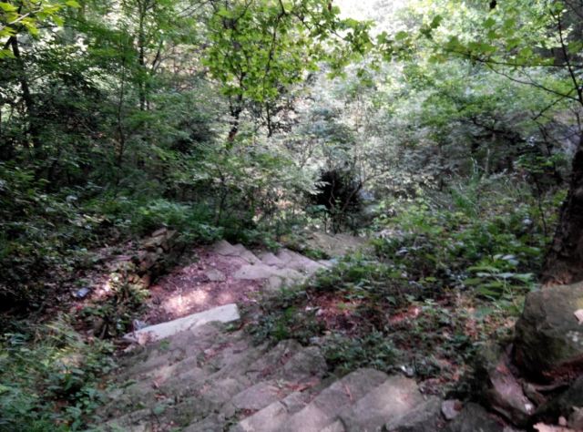 麻城五脑山事故最新动态，力量转变与学习魅力